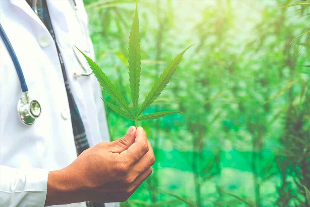 Encontro Nordestino de Associações Canábicas